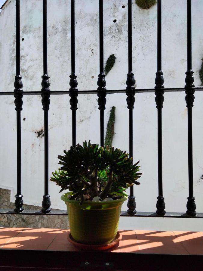 Villa Casa Vista Alcalá de los Gazules Esterno foto
