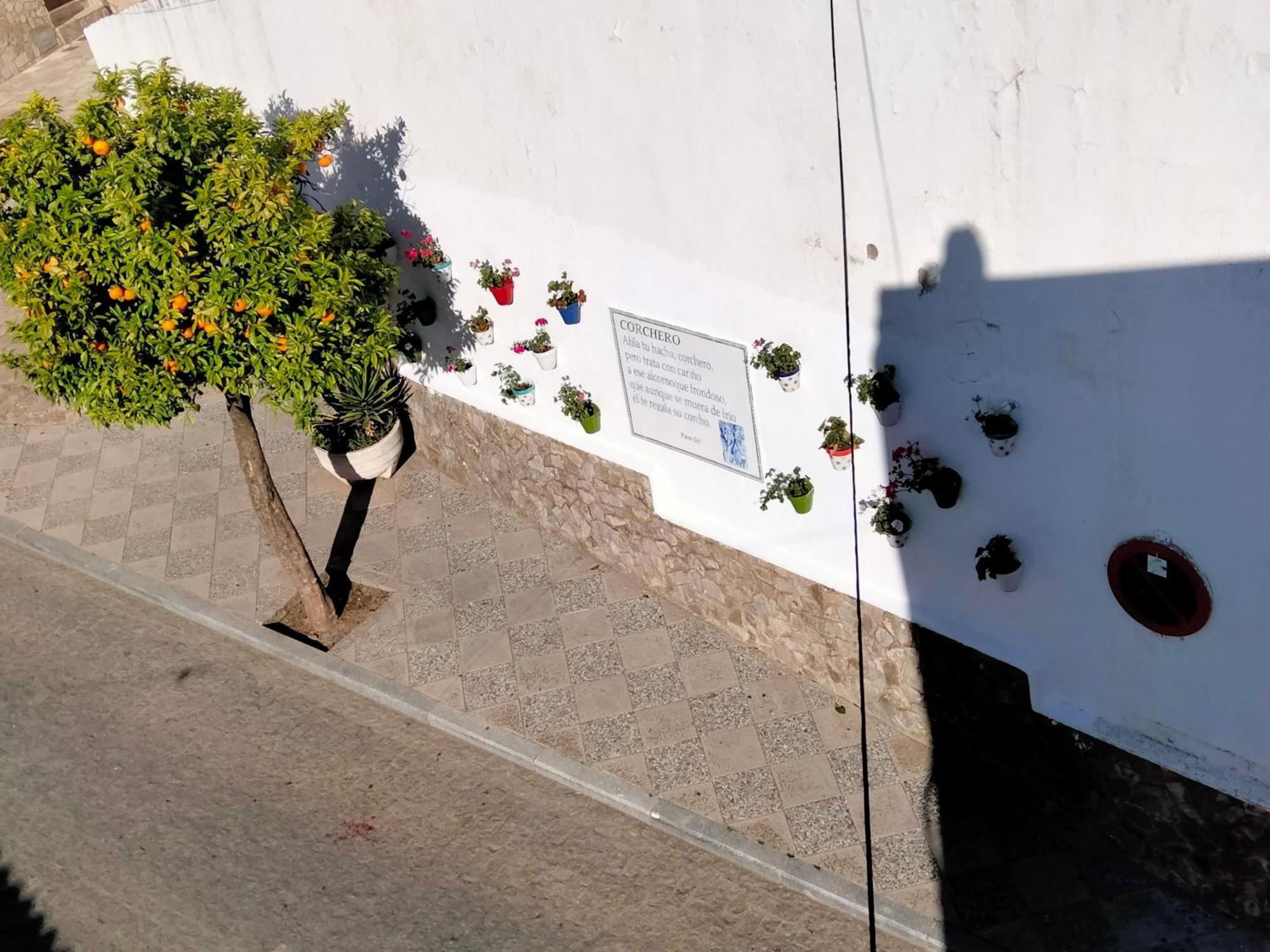 Villa Casa Vista Alcalá de los Gazules Esterno foto