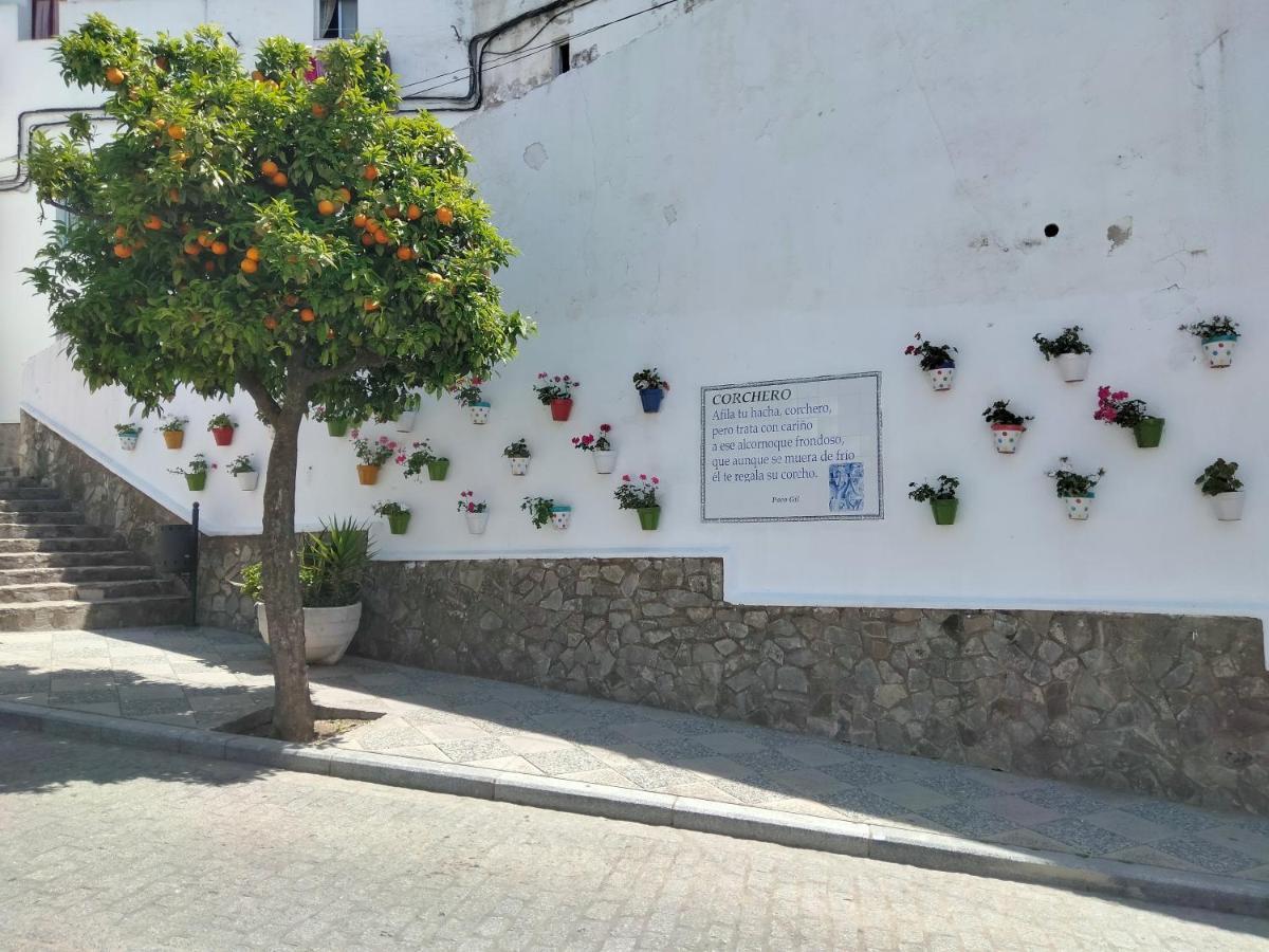 Villa Casa Vista Alcalá de los Gazules Esterno foto